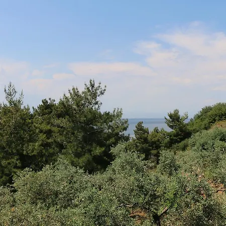 アパートホテル Pachis Blue Skala Rachoni (Thasos)