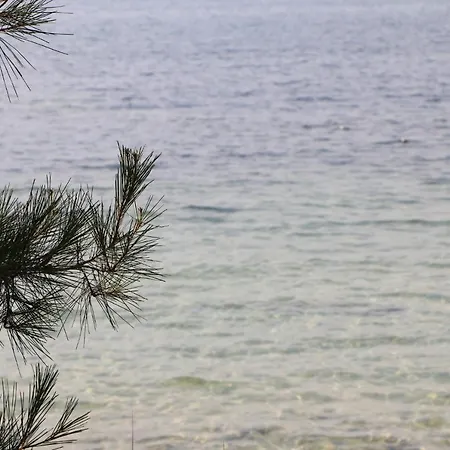 アパートホテル Pachis Blue Skala Rachoni (Thasos)